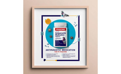 Framed poster of antiparasitic medication bottle for pigeons with pigeon and parasite illustrations