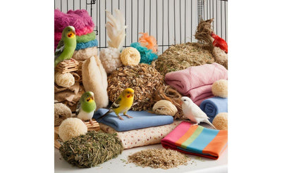Colorful small birds perched on natural nests, soft fabrics, and bird food inside a birdcage