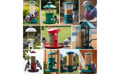 Various bird feeders in different colors with pigeons eating seeds in outdoor garden settings