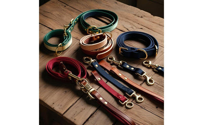 Collection of colorful dog leashes in green, navy, red, and brown on wooden table