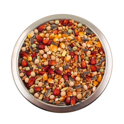 Hrana pentru porumbei Transilvanica baza 25 kg