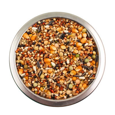 Hrana pentru porumbei Transilvanica cioc scurt 25 kg