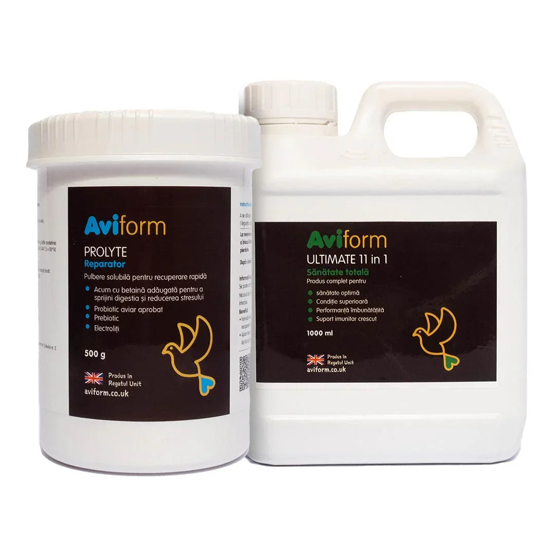 Pachet pregatire pentru concurs si recuperare porumbei - DalisPet