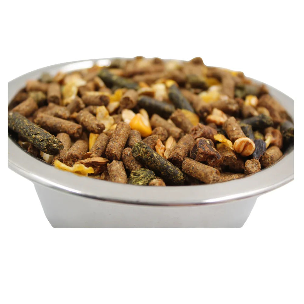 Close-up of mixed animal feed pellets with grains and seeds in a stainless steel bowl