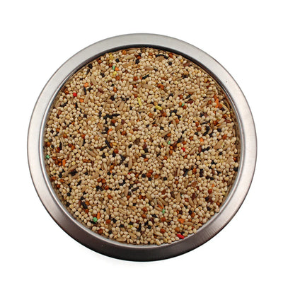 metal bowl filled with mixed bird seeds for pet birds