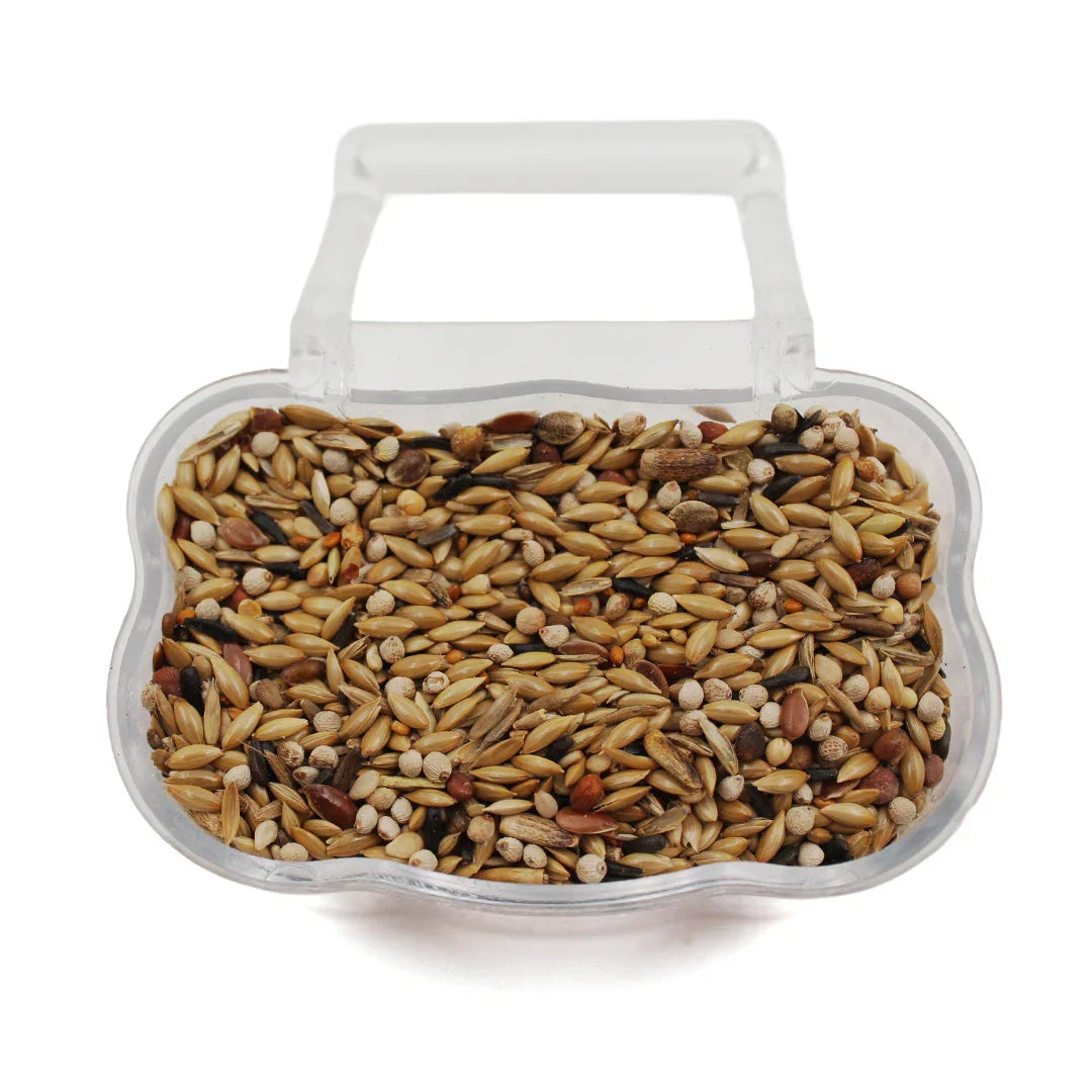 galian hrana de calitate pentru canari 1