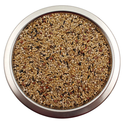 amestec seminte pentru canari galian