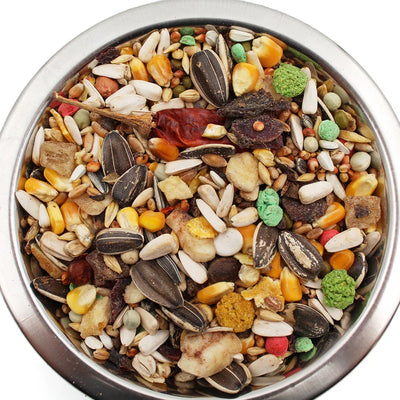 Close-up of mixed dried fruits, seeds, and grains in a metal bowl, healthy bird food mix