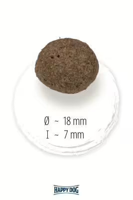 alimentaţie echilibrată blană sănătoasă câini