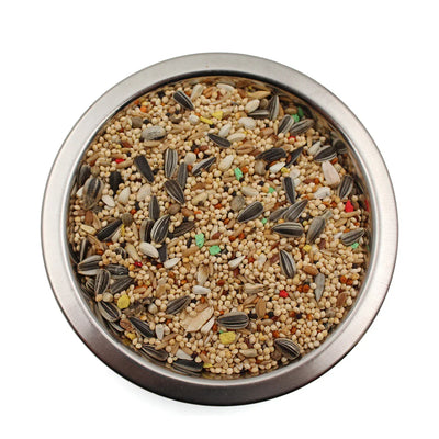 Metal bowl filled with assorted bird seeds including sunflower seeds and millet for pet birds