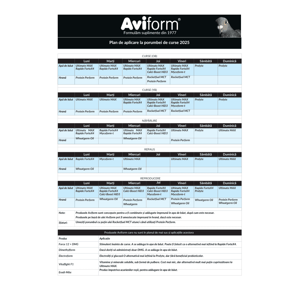 Aviform 2025 race pigeon feeding and supplement schedule with products and application notes