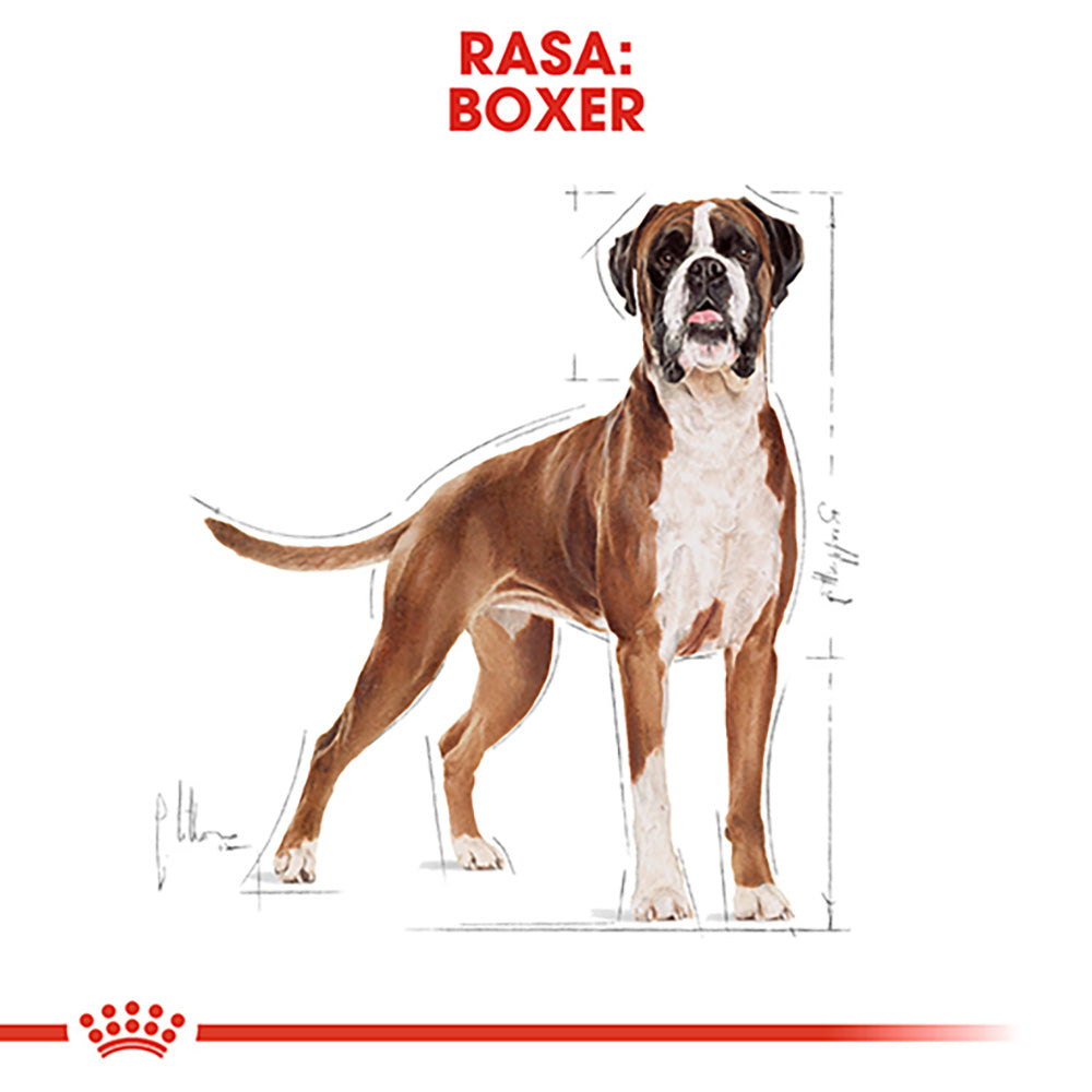 Royal Canin Boxer Adult hrana uscata caine, 12 kg