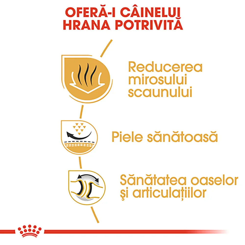 Royal Canin Bulldog Adult hrana uscata caine