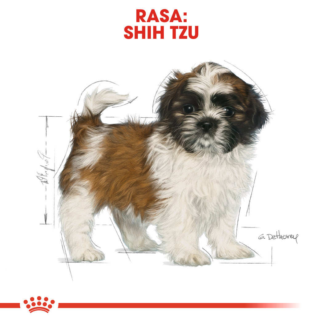 Royal Canin Shih Tzu Puppy hrana uscata caine junior