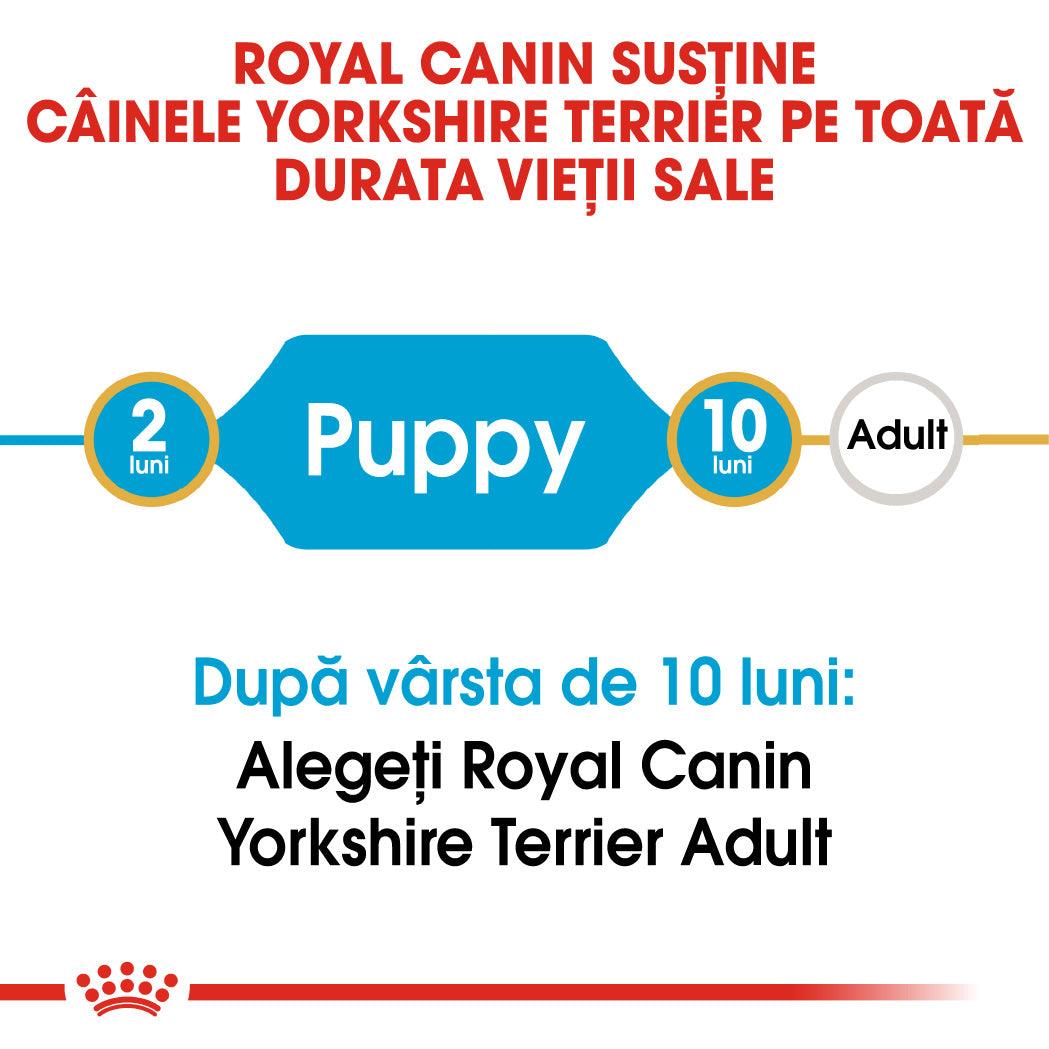 Royal Canin Yorkshire Puppy hrana uscata caine junior