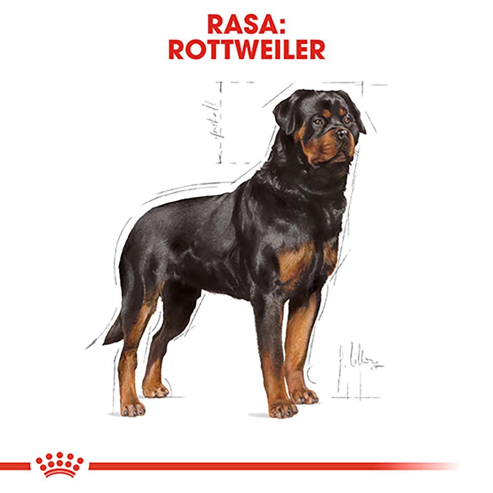 Royal Canin Rottweiler Adult hrana uscata caine
