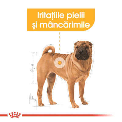 Royal Canin Medium Dermacomfort hrana uscata caine, prevenirea iritatiilor pielii