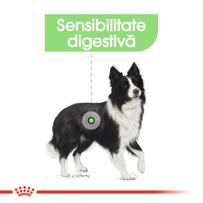 Royal Canin Medium Digestive Care hrana uscata caine, confort digestiv