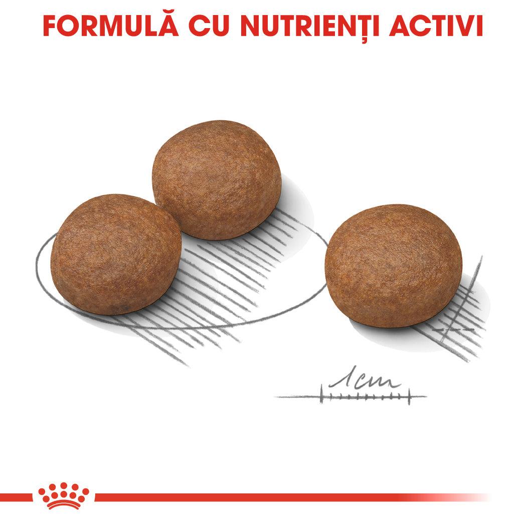 Royal Canin Medium Digestive Care hrana uscata caine, confort digestiv