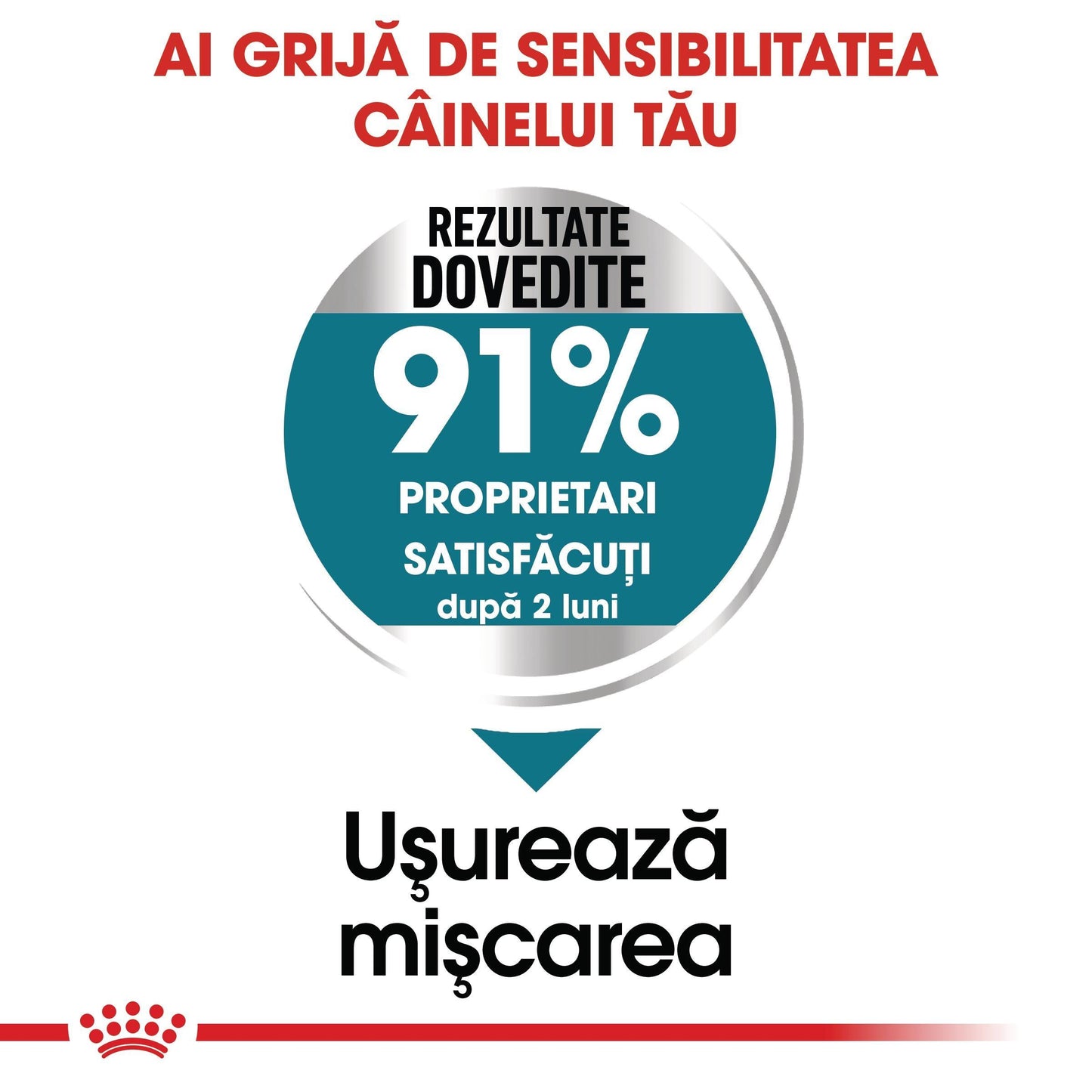 Royal Canin Maxi Joint Care Adult hrana uscata caine, ingrijirea articulatiilor, 10 kg