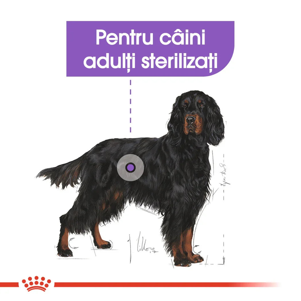 Royal Canin Maxi Sterilised Adult hrana uscata caine sterilizat