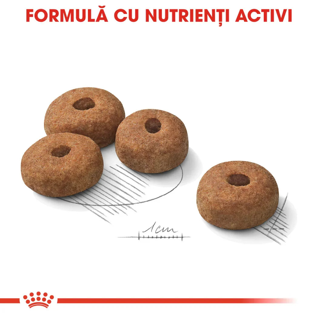 Royal Canin Maxi Sterilised Adult hrana uscata caine sterilizat