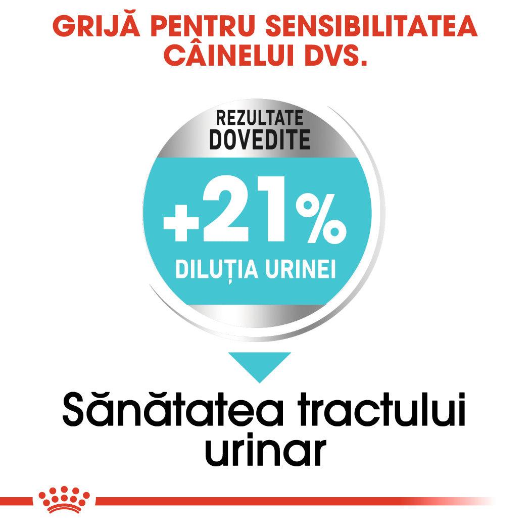 Royal Canin Mini Urinary Care hrana uscata caine, sanatatea tractului urinar
