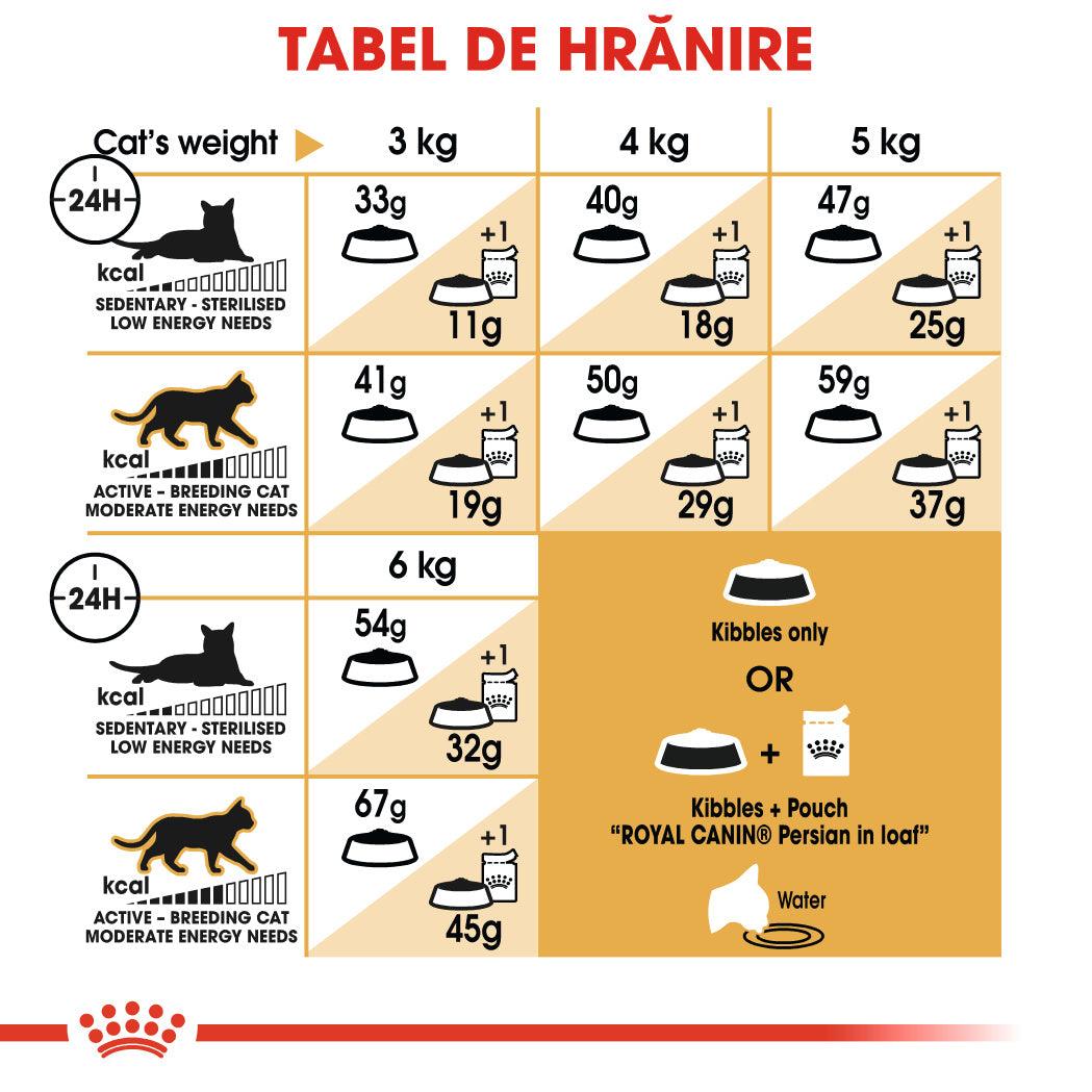 Royal Canin Persian Adult hrana uscata pisica