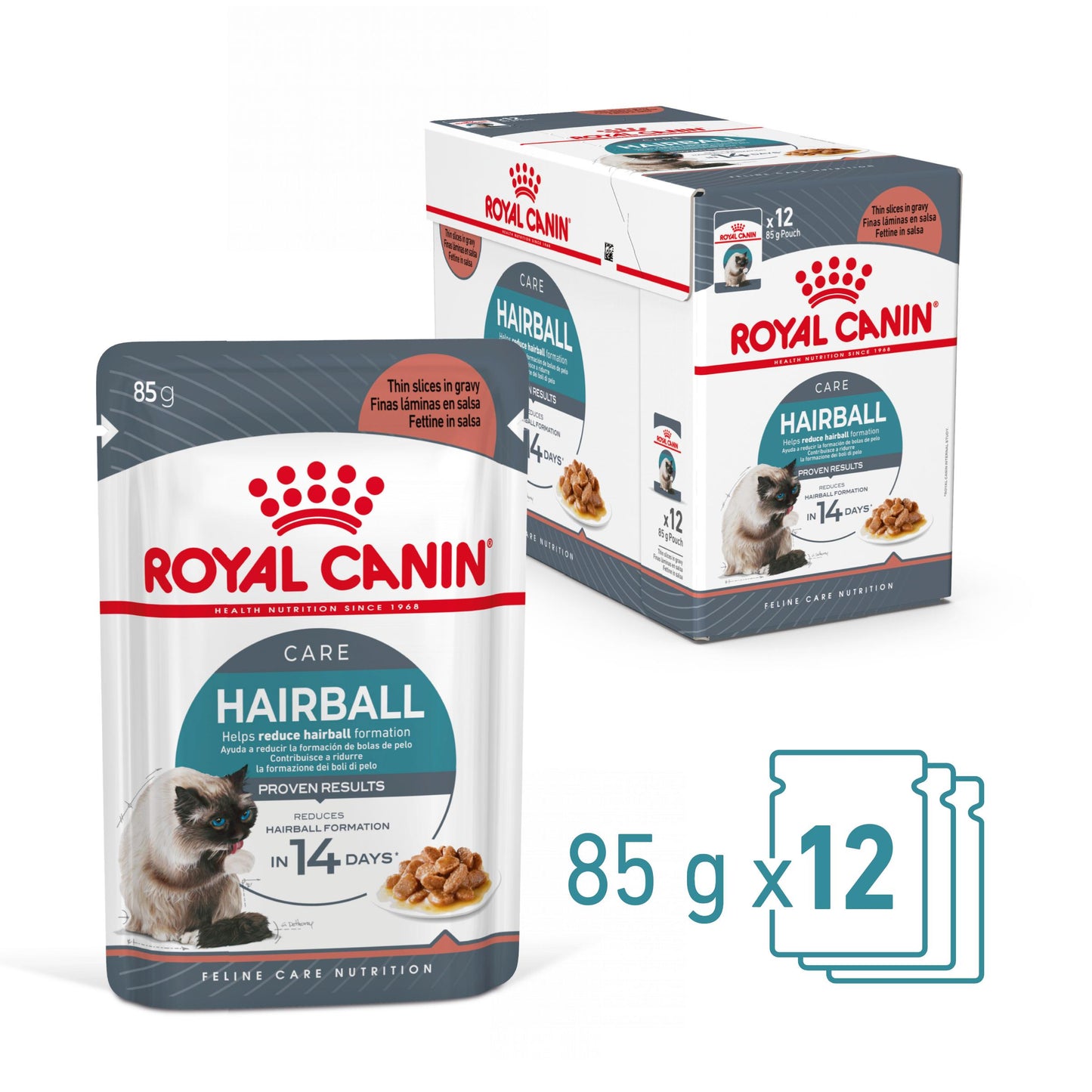 Royal Canin Hair&Skin Care Adult hrana umeda pisica, piele si blana (in sos)