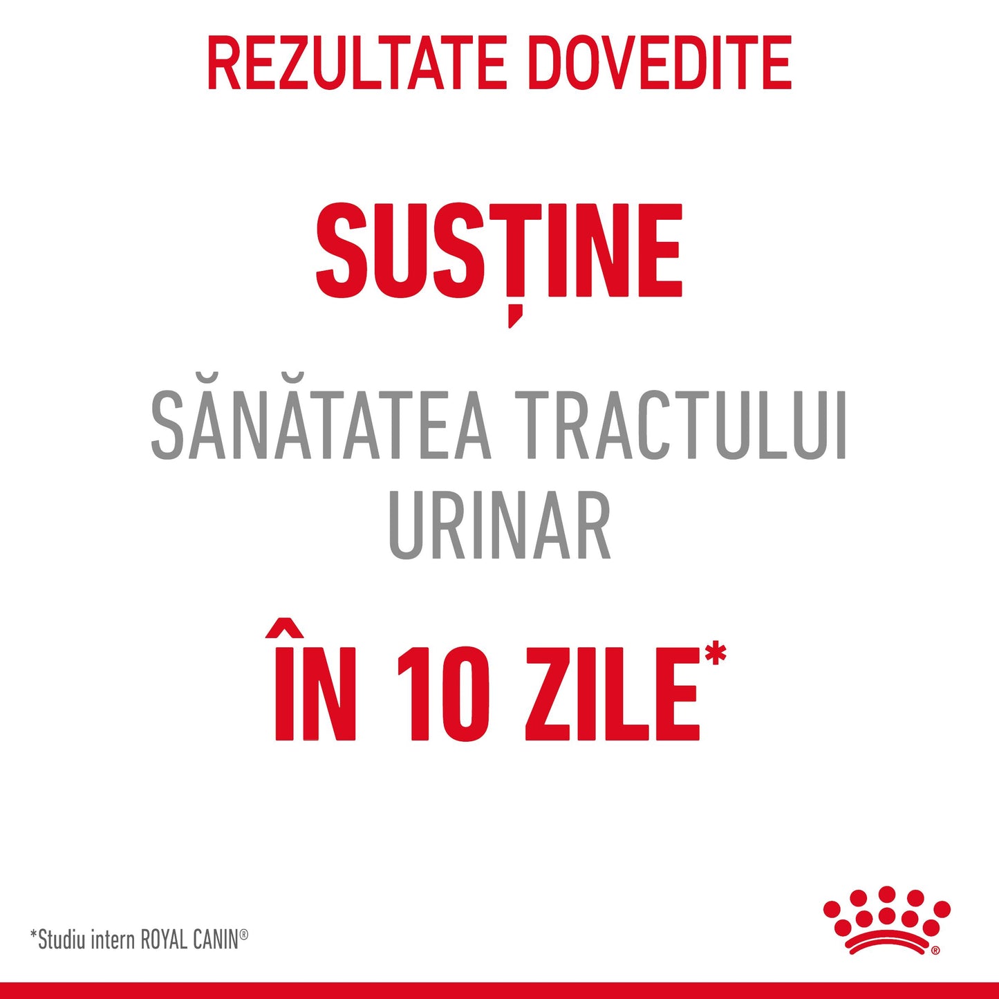 Royal Canin Urinary Care Adult hrana uscata pisica, sanatatea tractului urinar