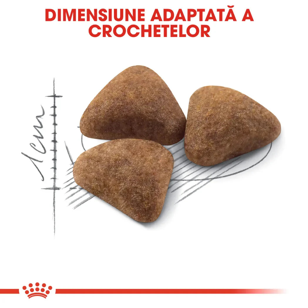 Three triangular brown kibble pieces on a white background with sizing sketch and Romanian text