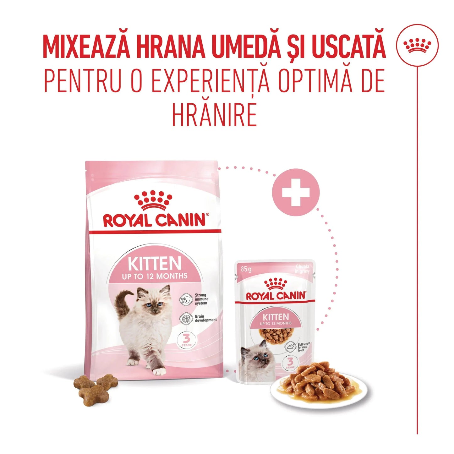 Royal Canin Kitten hrana umeda pisica junior (in sos)