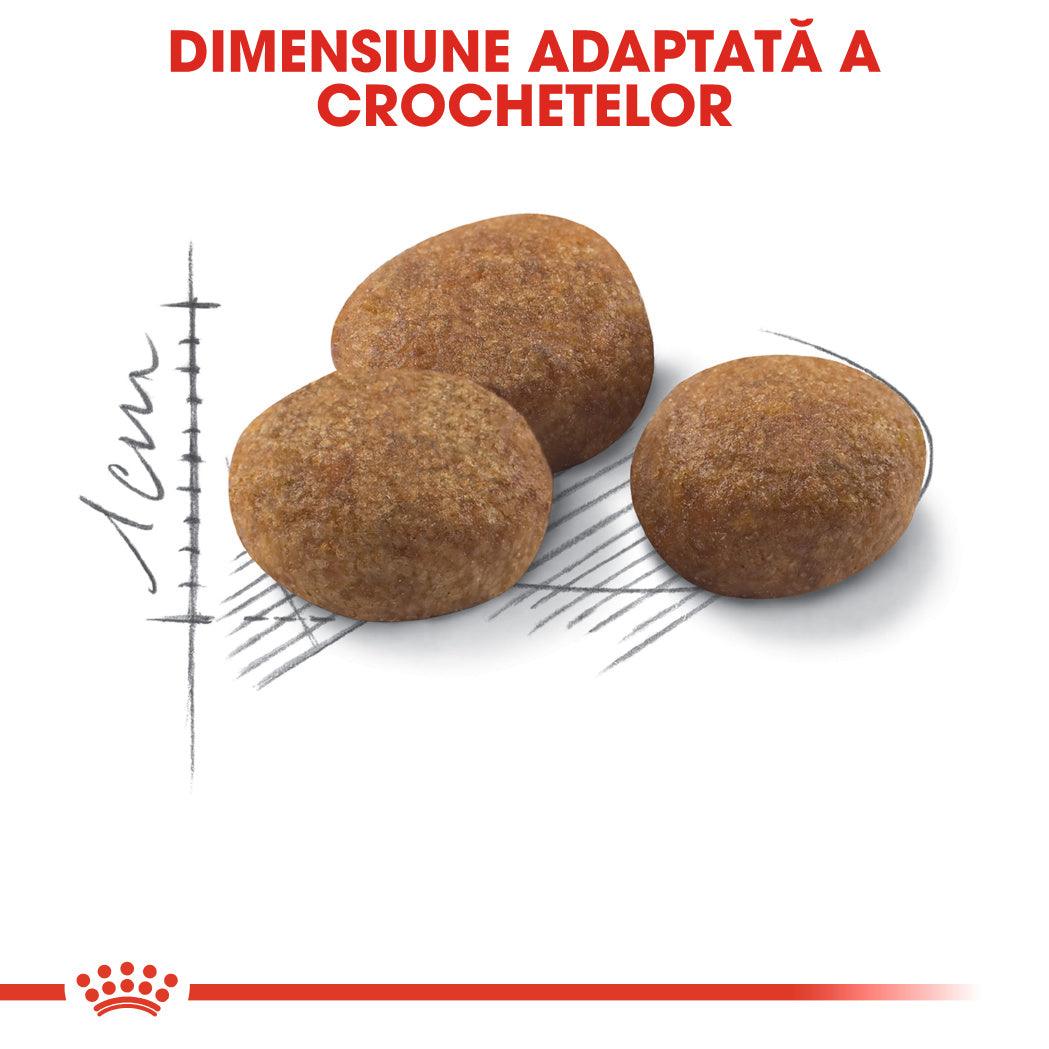 Royal Canin Sterilised 7+ hrana uscata pisica sterilizata