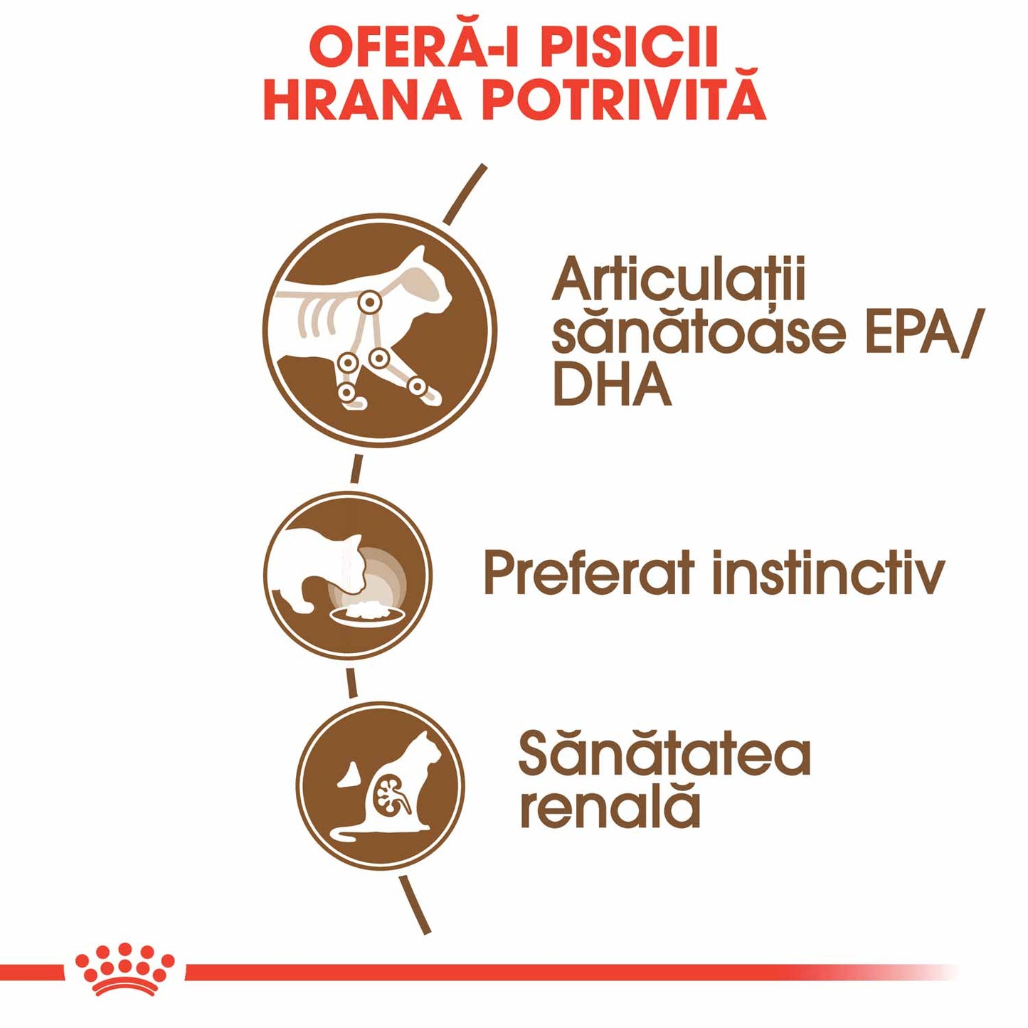 Royal Canin Ageing 12+ hrana umeda pisica senior (in sos)