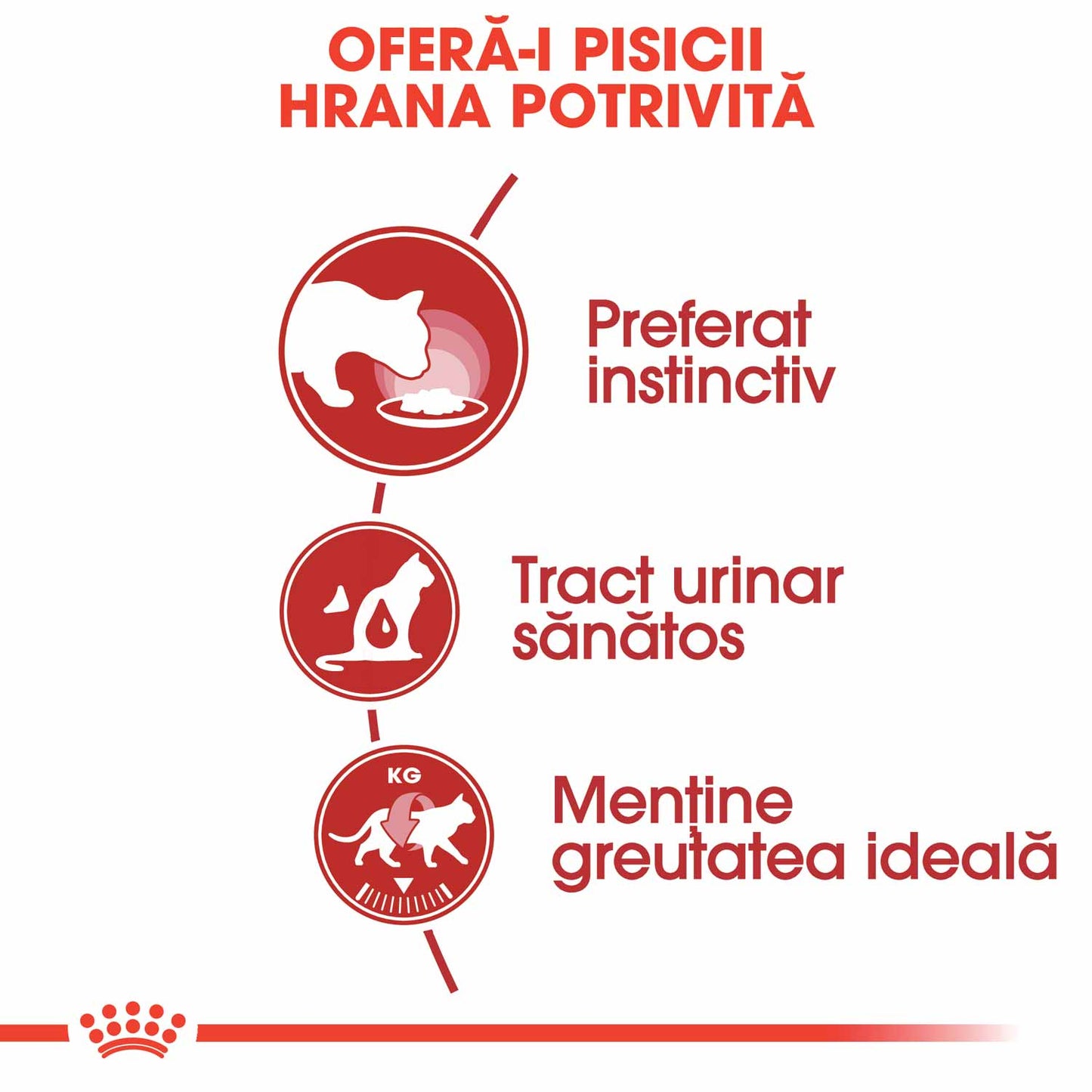 Royal Canin Instinctive Adult hrana umeda pisica (aspic)