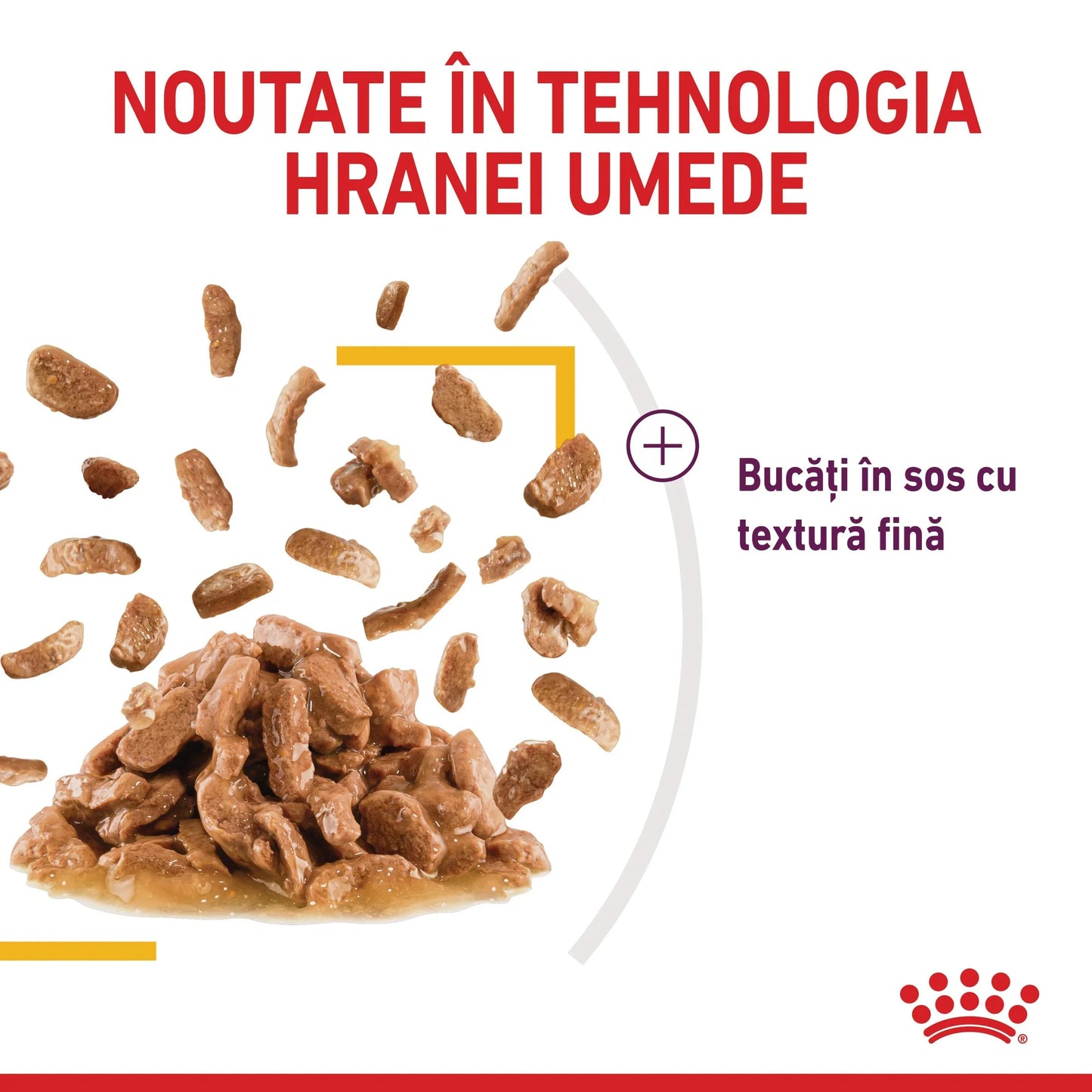 Royal Canin Sensory Taste, hrana umeda pisici, stimularea gustului (in sos)