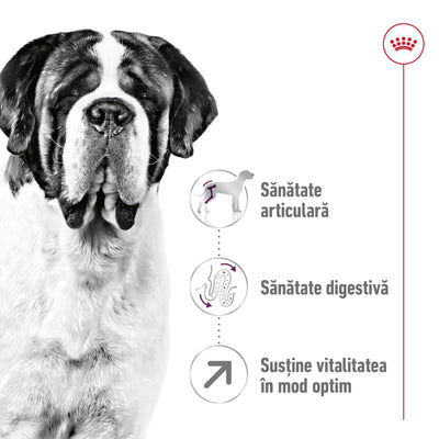 Royal Canin Giant Adult hrana uscata caine, 15 kg