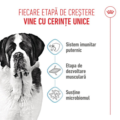 Royal Canin Giant Junior hrana uscata caine junior etapa 2 de crestere