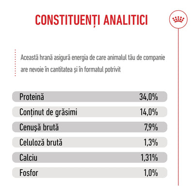 Royal Canin Giant Puppy hrana uscata caine junior etapa 1 de crestere