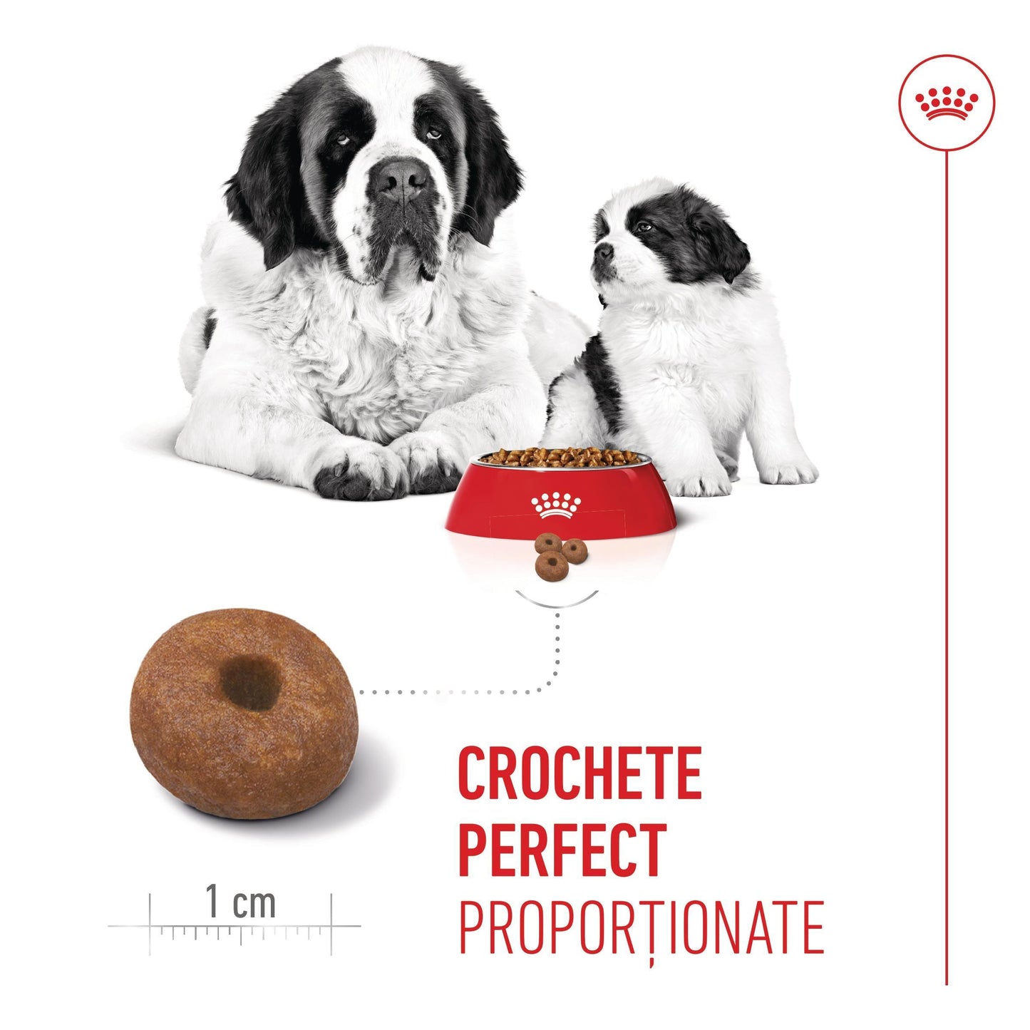Royal Canin Giant Starter Mother & Babydog, mama si puiul, hrana uscata caine