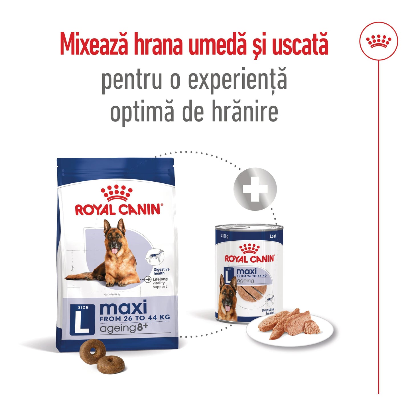 Royal Canin Maxi Ageing 8+ hrana uscata caine senior, 15 kg