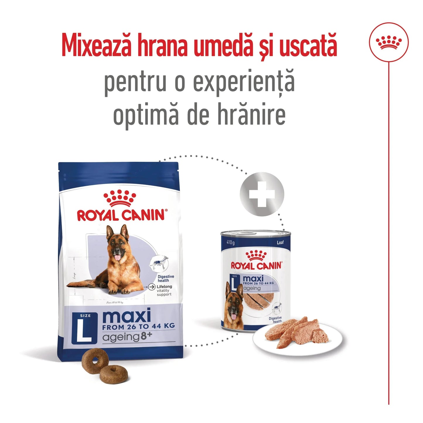 Royal Canin Maxi Ageing 8+ hrana uscata caine senior, 15 kg