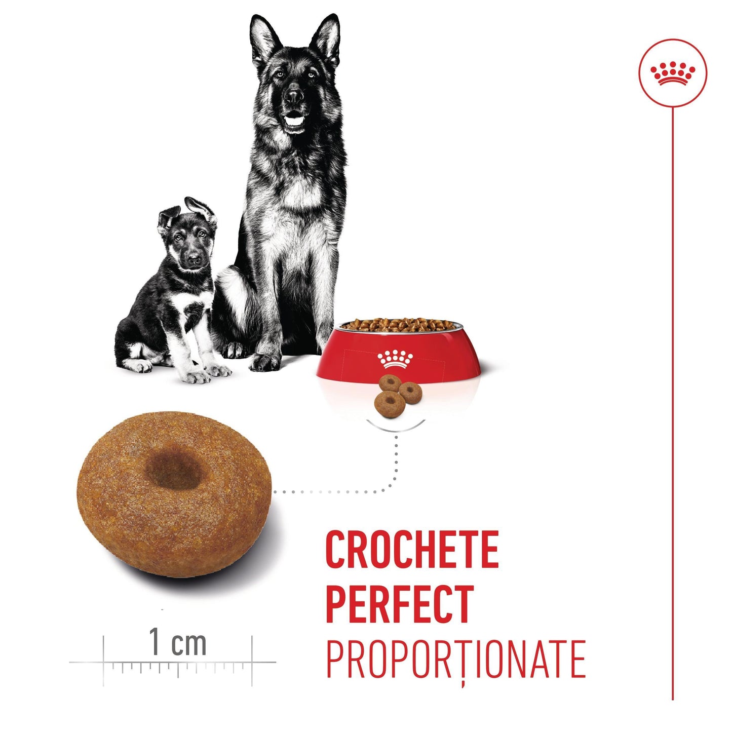 Royal Canin Maxi Starter Mother & BabyDog, mama si puiul, hrana uscata caini