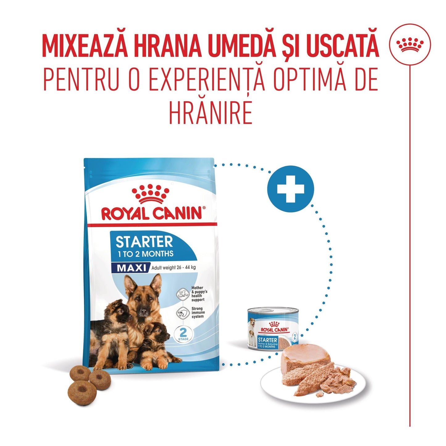 Royal Canin Maxi Starter Mother & BabyDog, mama si puiul, hrana uscata caini