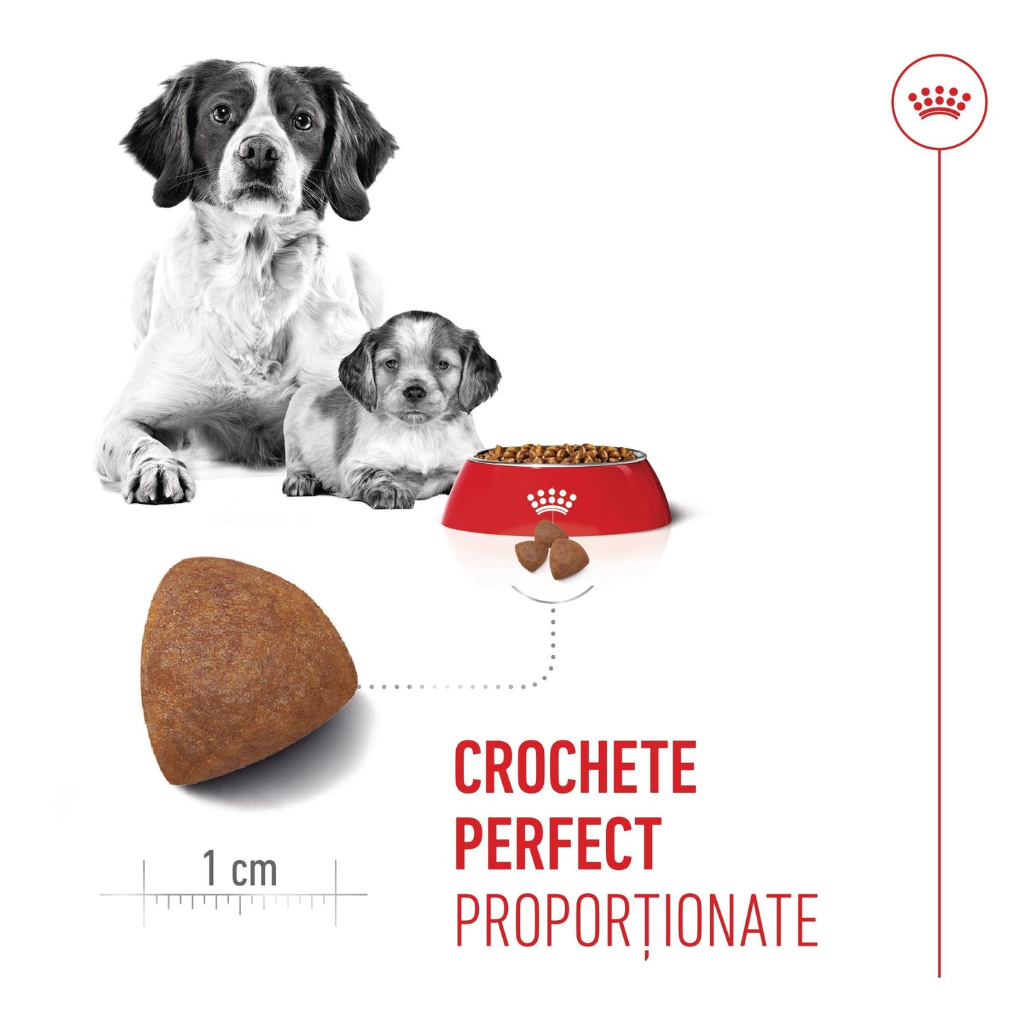 Royal Canin Medium Starter Mother & BabyDog, mama si puiul, hrana uscata caini
