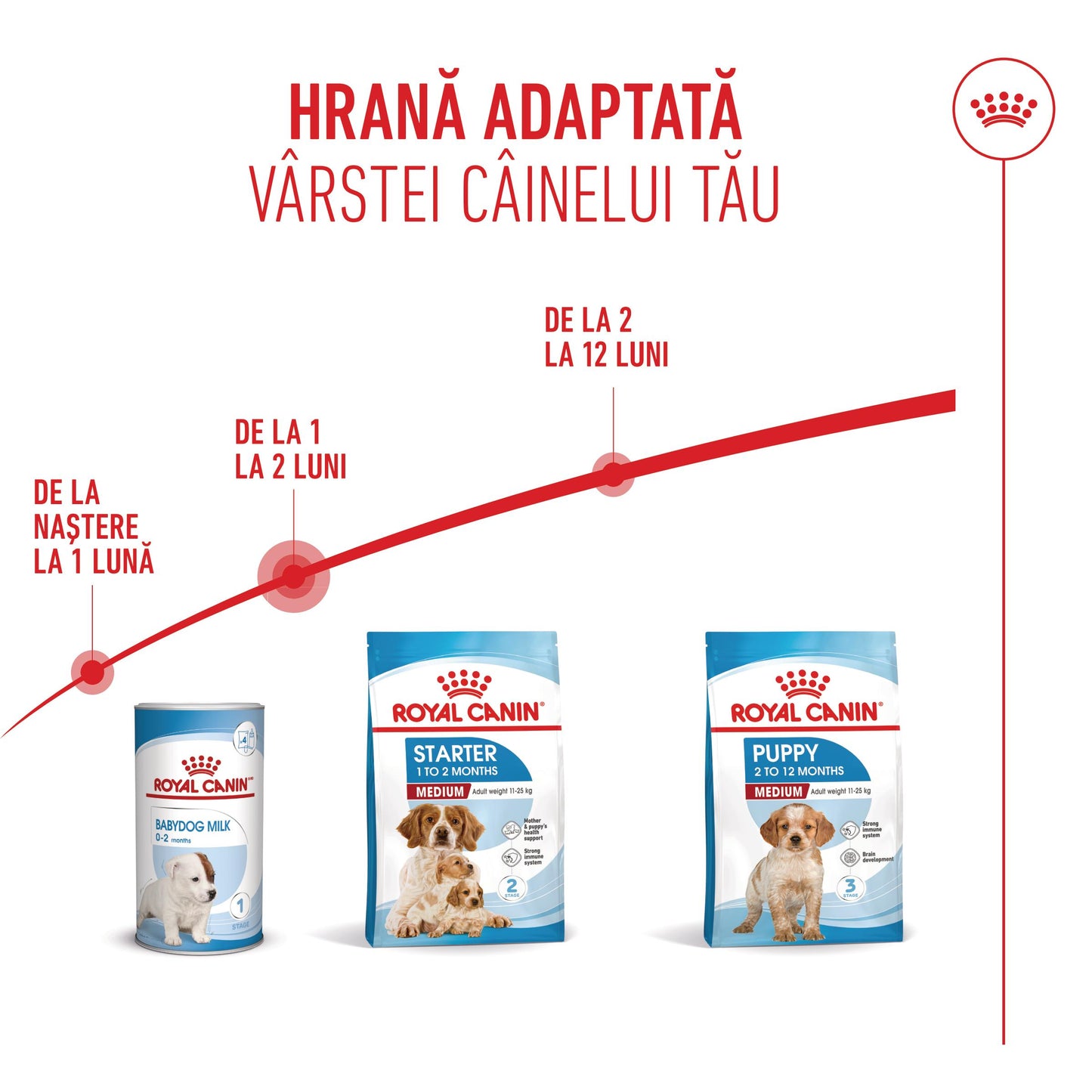 Royal Canin Medium Starter Mother & BabyDog, mama si puiul, hrana uscata caini