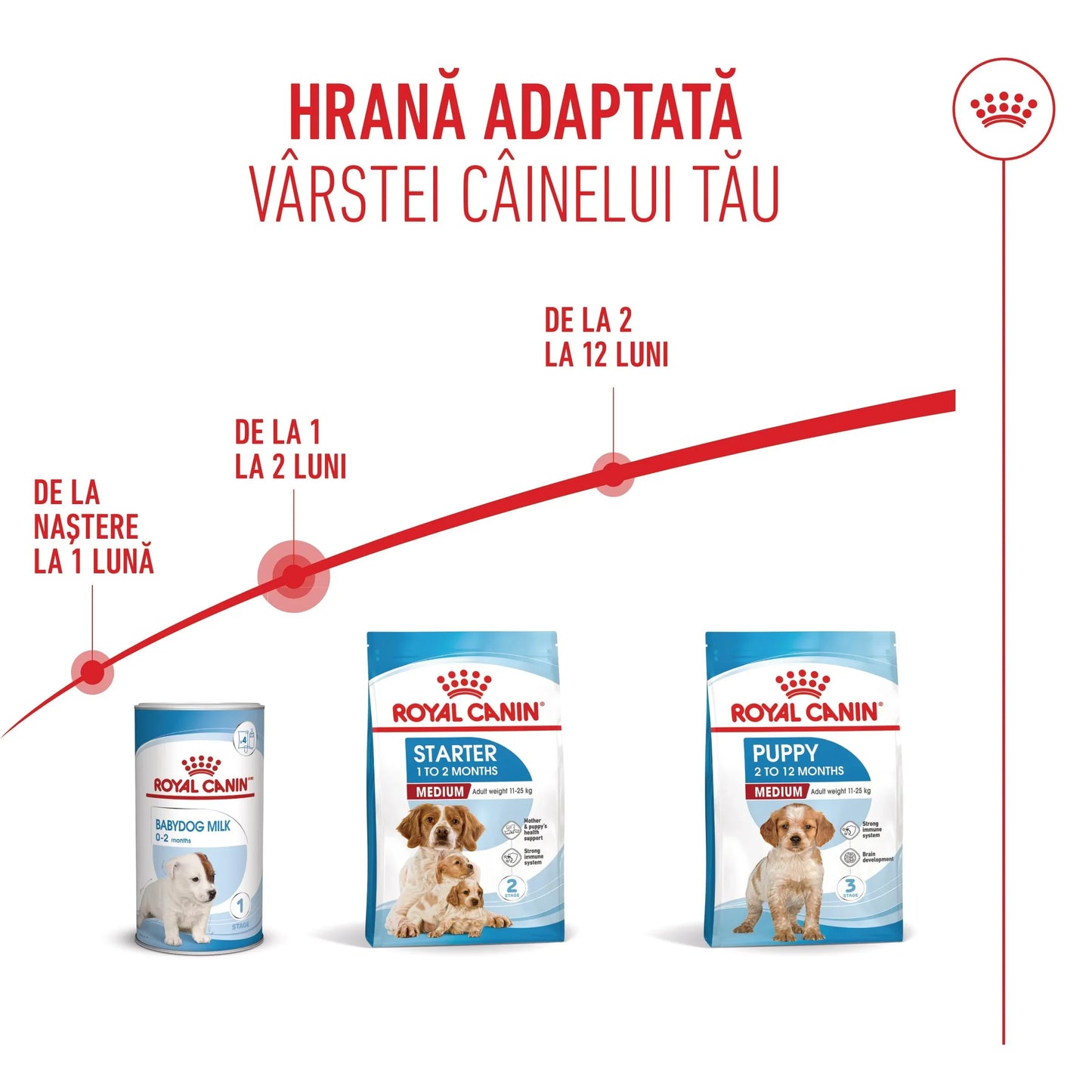 Royal Canin Medium Starter Mother & BabyDog, mama si puiul, hrana uscata caini