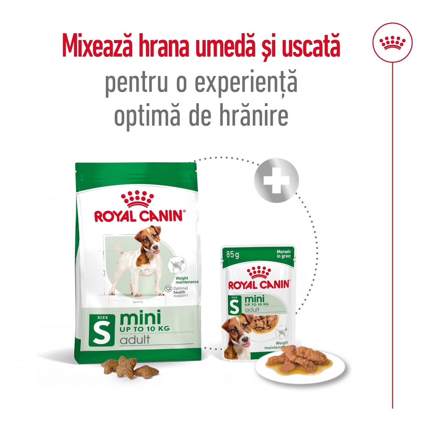 Royal Canin Mini Adult hrana uscata caine