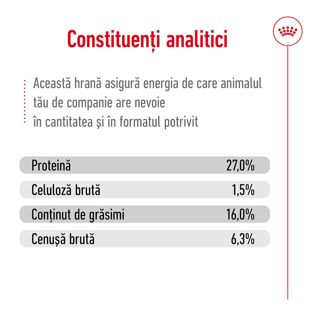 Royal Canin Mini Adult 8+ hrana uscata caine