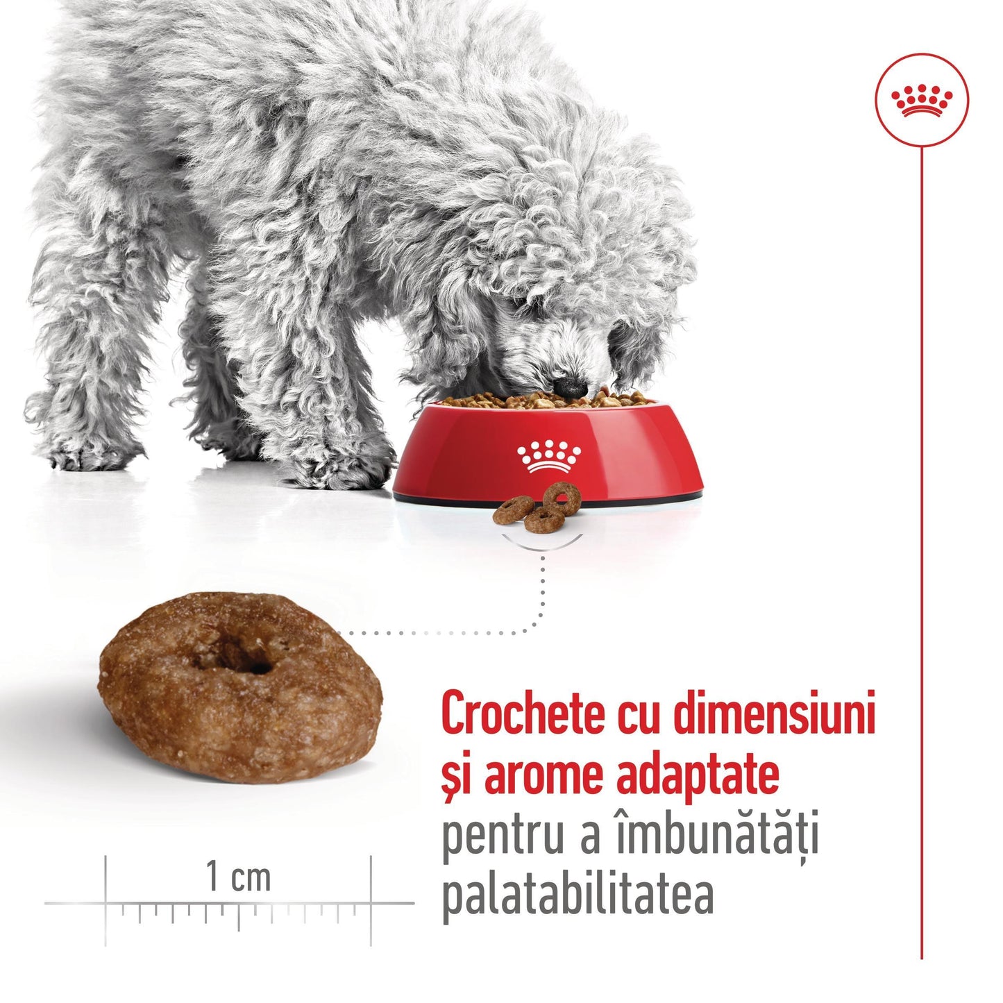 Royal Canin Mini Ageing 12+ hrana umeda caine senior (in sos), 85 g